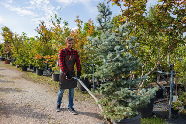 Best Aeration Services  in Lincoln Park, NY
